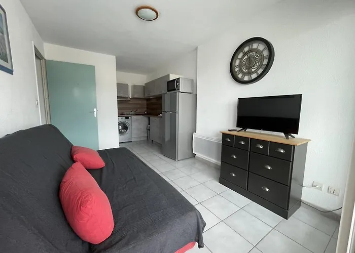 Apartamento 2 Pieces Mezzanine, Parking Prive, Animaux Admis - Fr-1-338-475 *